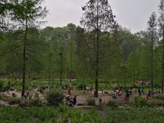-重庆彩云湖湿地公园