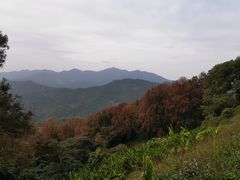 -广州市石门国家森林公园