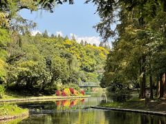 -上海共青森林公园