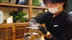 -Every Day Hair Studio
