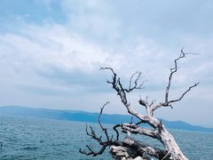 -大理洱海