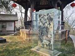 -子昂故里文化旅游区