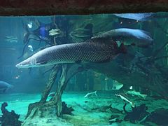 -华夏文旅海洋公园