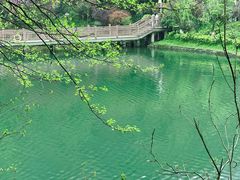 -桃花岭景区