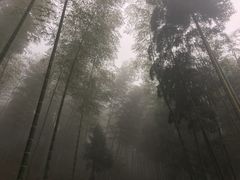 -仙霞关景区