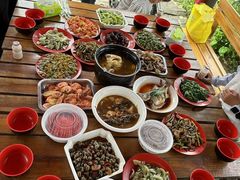 -樂桃源奉贤黄桃种植采摘基地