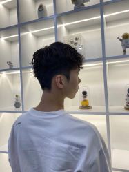 -蚂蚁造型沙龙