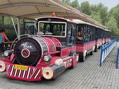 -呼兰河口湿地公园