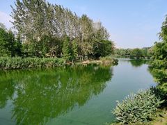 -滨湖塘西河公园