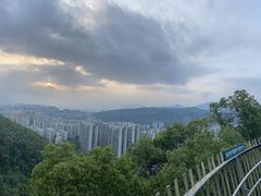 -福道