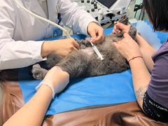 -达爱动物医院·犬猫分区·CT·复杂眼科(远洋山水分院)