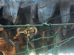 -鄂尔多斯野生动物园