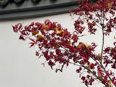 -成都杜甫草堂博物馆