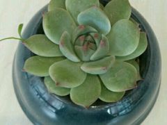 -金乐活美食(中街店)