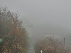 -江南天池