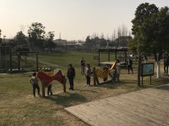 -田园东方蜜桃村的田野营地