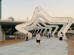 -演武大桥观景平台