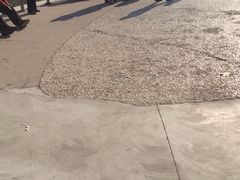 -康庄公园