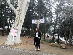 -武汉大学-樱园