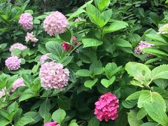 -江南大学附属医院(北院区)