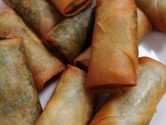 荠菜春卷-黑皮酸菜鱼(三山街店)