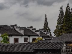 -金泽古镇