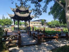 -黄龙溪古镇