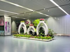 -长沙黄花国际机场-T1航站楼