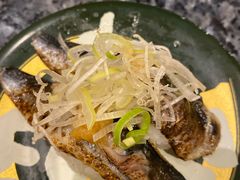 -回転寿司酒場 銀座沼津港