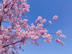 -新江湾城公园