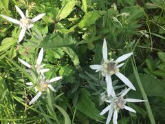 -白草畔自然风景区