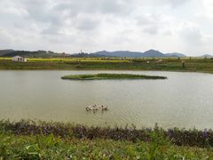 -光明小镇欢乐田园