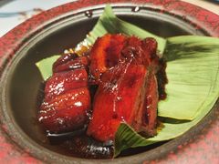 -佬肥猫(七宝宝龙店)