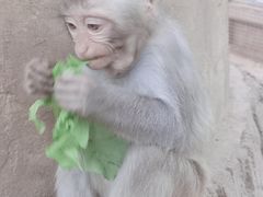 -石家庄市动物园