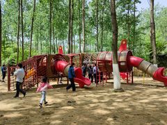 -合肥滨湖国家森林公园