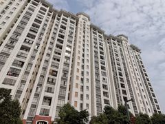 -广东博智林机器人有限公司