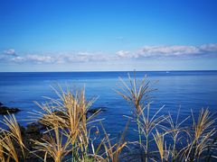 -龙头岩(Dragon Head Rock)