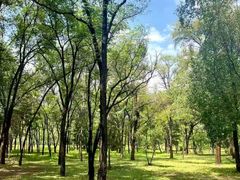 -森林公园(尖草坪区)