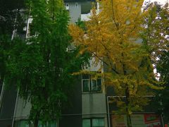 -四川大学(华西校区)