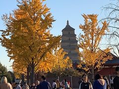 -大雁塔北广场音乐喷泉