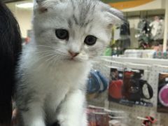 -乐宠宠物店(世纪金源店)