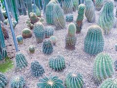 -南山植物园