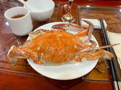 -良友·海鲜青岛菜·海肠捞饭(五四广场店)