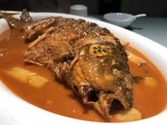 -阿五黄河大鲤鱼(纬三路店)