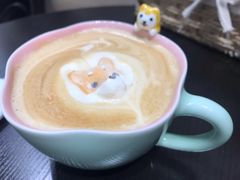 -逗柴咖啡屋·狗咖猫咖宠物桌游