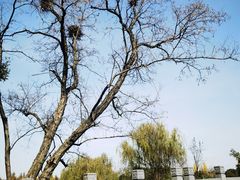 -贡湖湾湿地公园