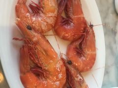 -欢乐海岸美食联盟