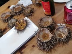 -海胆小馆(东北水饺·春柳店)