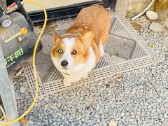 -陶野咖啡·面包披萨
