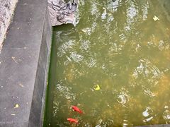 -万寿八仙宫